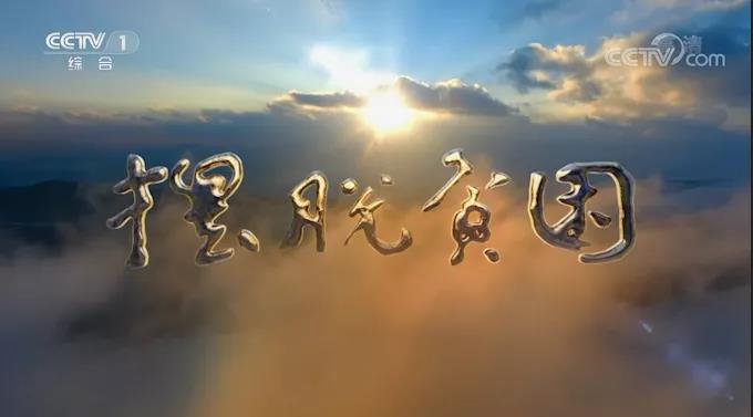 �������ͨ�幫·�ٵ�������ƶ�����������ר��Ƭ������ƶ����?